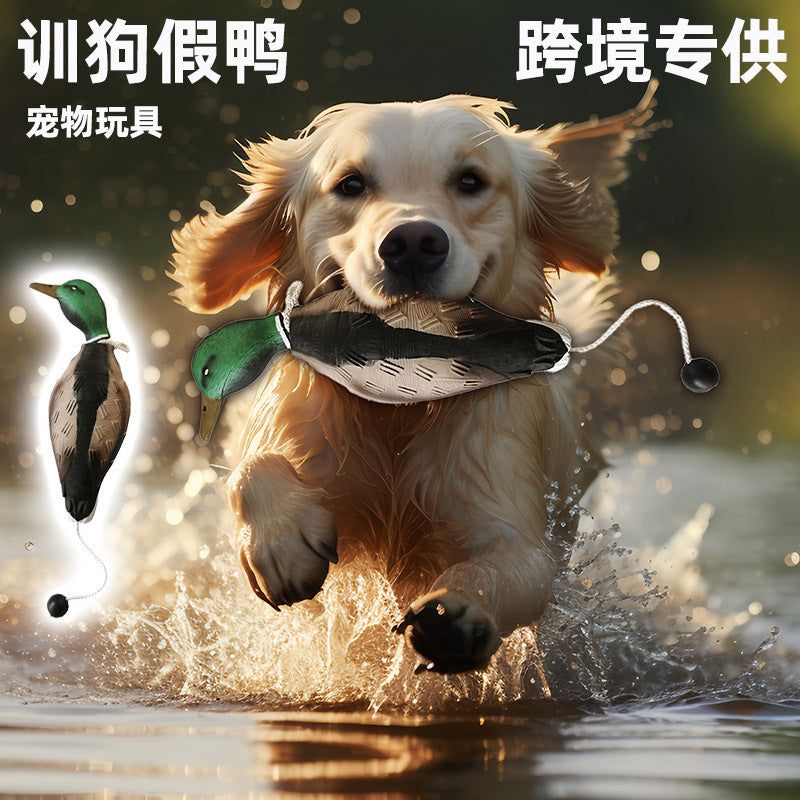Spot private mold supply EVA injection PU foam pet dog training toy simulation duck fake duck training bite resistance