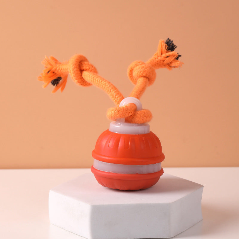 Cross-border pet smart rolling ball electric dog boredom relief smart bite-resistant dog ball teething toy built-in bird call