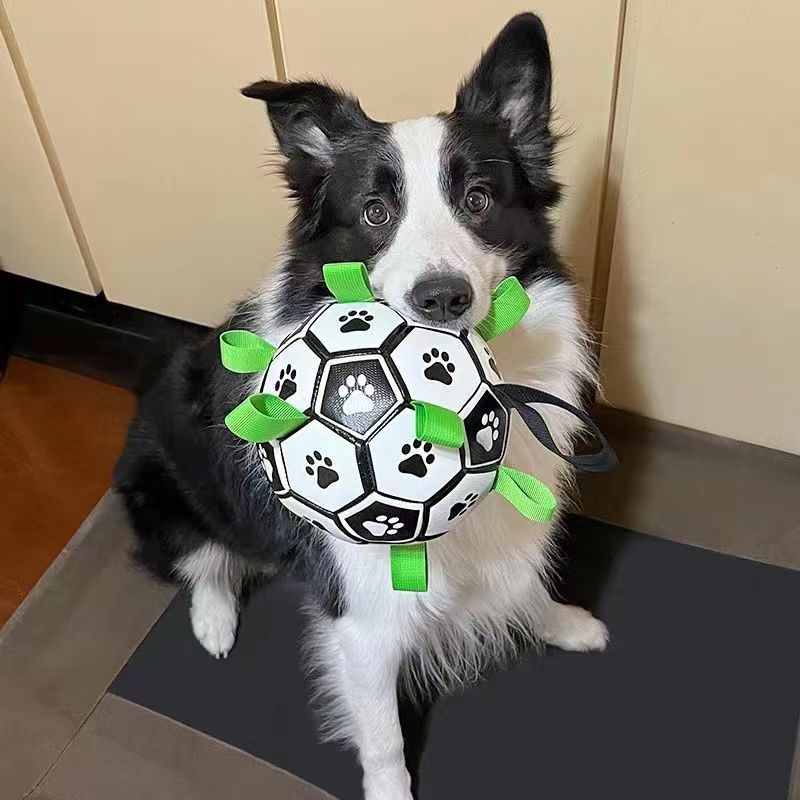 Dog toy football pet toy ball small and medium-sized dogs relieve boredom bite-resistant small football interactive artifact pet ball