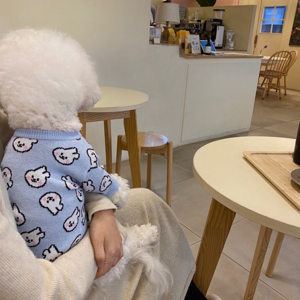 Spring and Autumn Pet Sweater Warm Small and Medium Puppies Teddy Bichon Pomeranian Knitted Cardigan Cat Dog Clothes