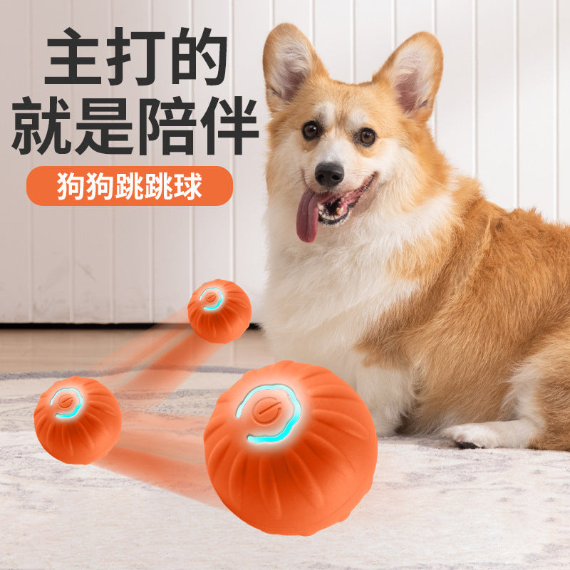 Manufacturers wholesale pet gravity jumping ball intelligent dog amusing artifact automatic dog walking ball self-entertainment dog toy