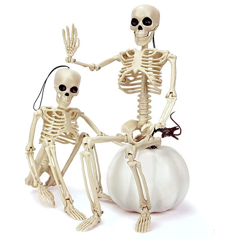 Halloween skeleton skeleton 60cm simulation human plastic skeleton decoration haunted house festival scene layout props