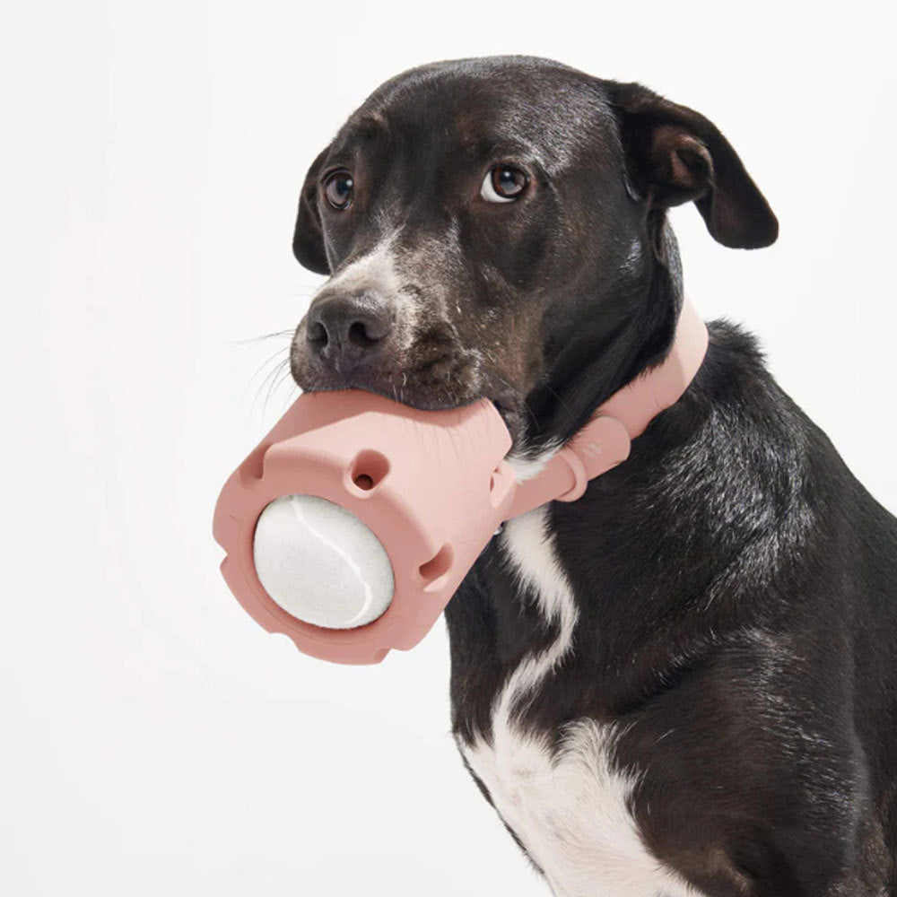 Pet educational toys dog tennis cup rubber chew resistant toy tpr