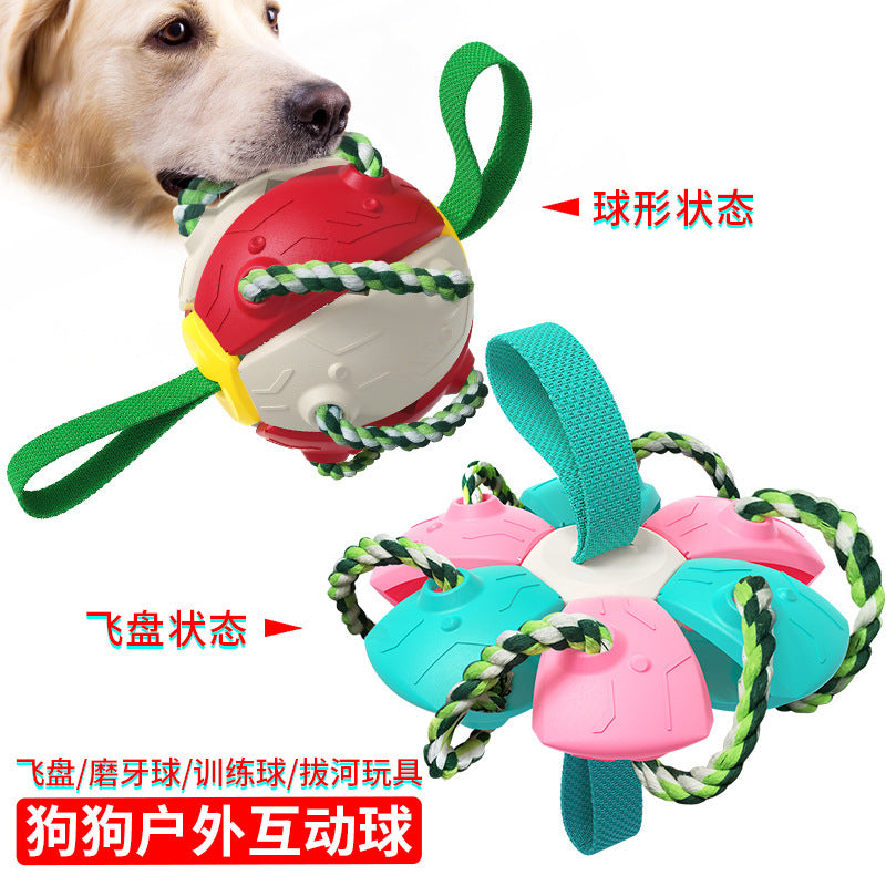 Pet Supplies Factory New Explosion Amazon Cross-border UFO Outdoor Training Interactive Frisbee Soccer Dog Toy
