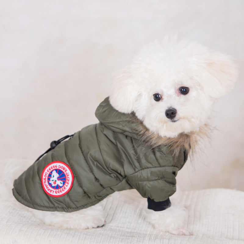 Pet clothes Dog clothes Fashion hooded jacket Autumn and winter warm dog clothes Teddy small and medium dogs