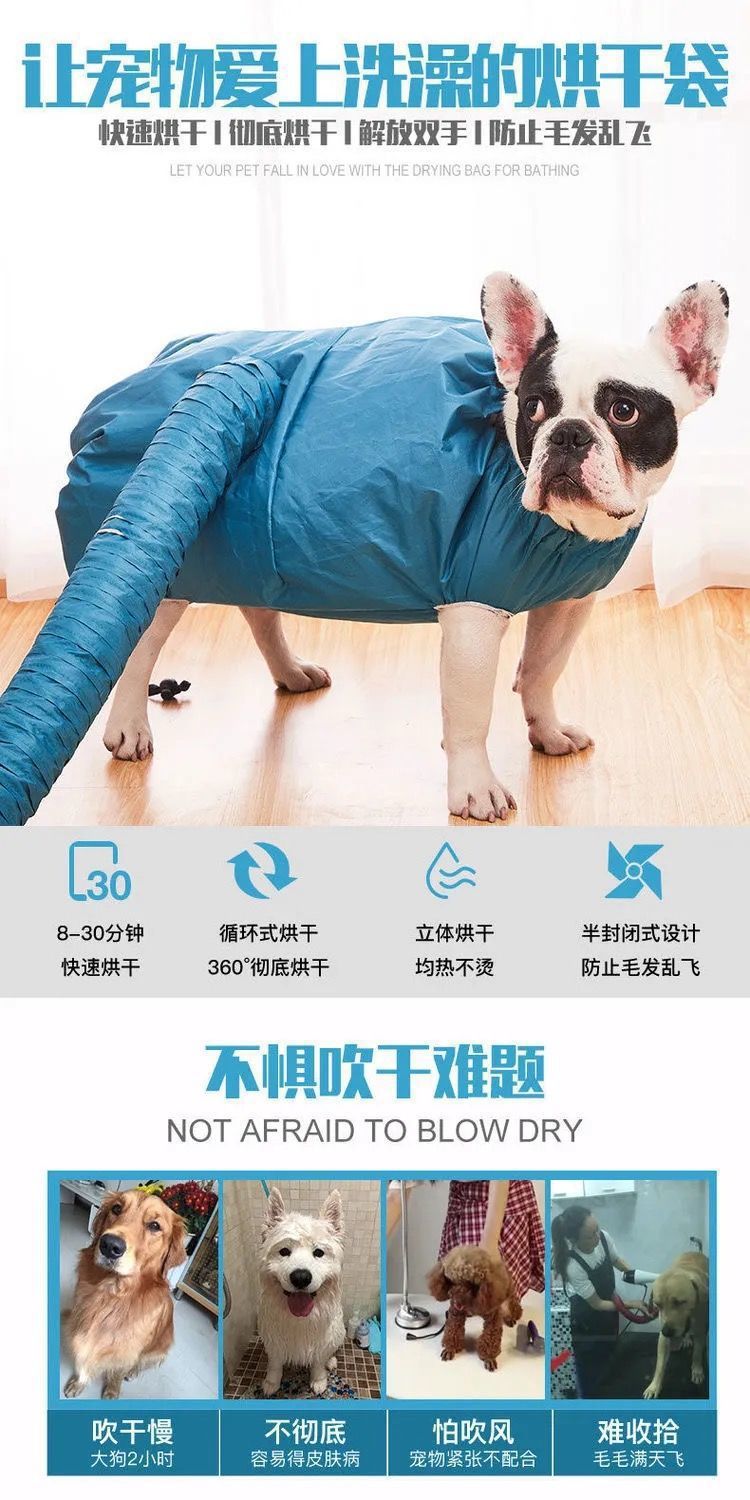 Pet drying box automatic drying bag Teddy Corgi cat hair dryer dog bath golden retriever silent hair blowing