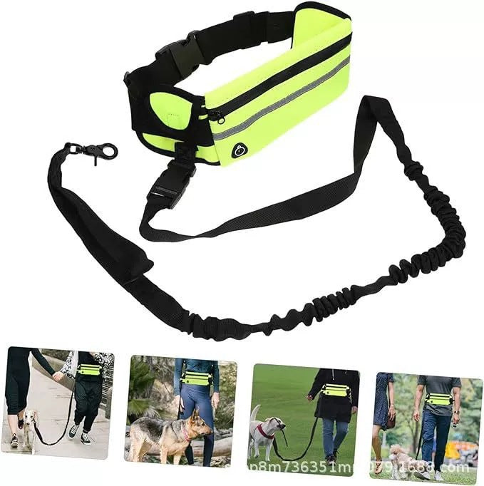 Sports outdoor running waist bag set pet leash dog leash walking dog leash set