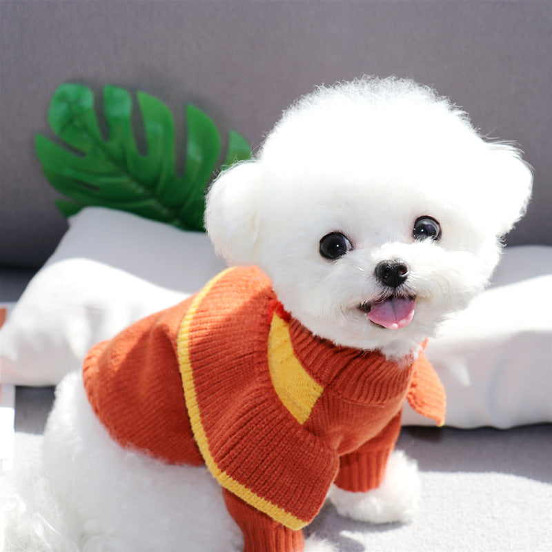 Bixin pet cotton coat can pull cats and small dogs Teddy Bichon Pomeranian autumn and winter clothes dog clothes winter