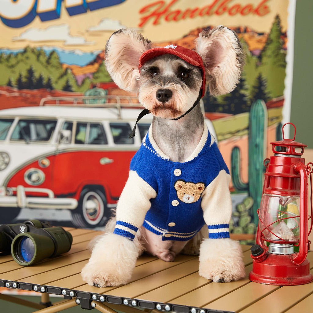 Clearance sale of dog clothes autumn and winter new style schnauzer, bichon, teddy, French bulldog handsome pet baseball uniform trend