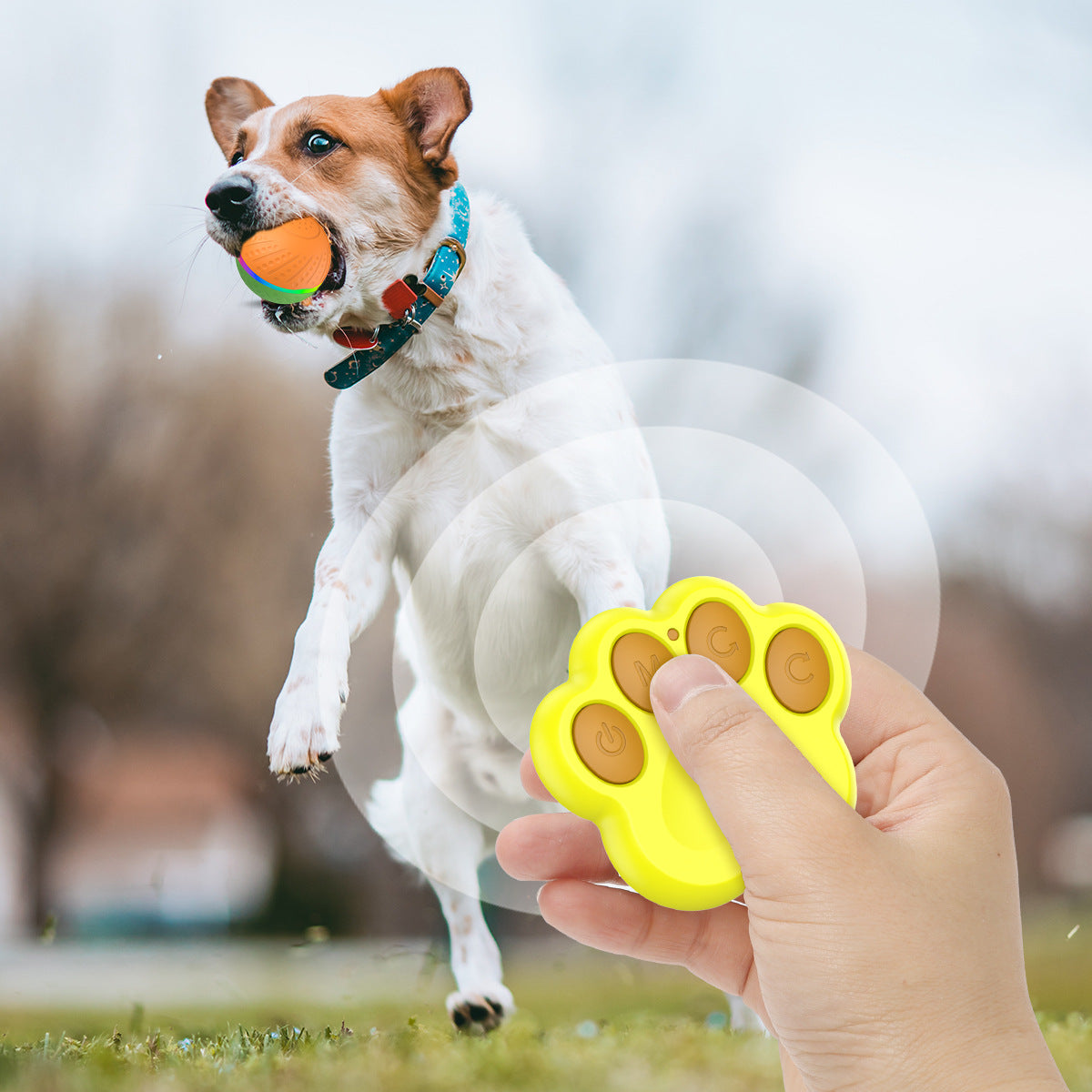TEMU popular Amazon interactive pet automatic dog toy ball electric smart ball wicked ball O3