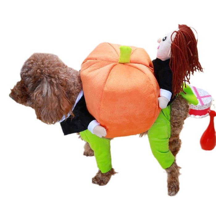 Funny Teddy Poodle pet dog carrying pumpkin transformation costume Little man holding pumpkin Santa Claus clothes