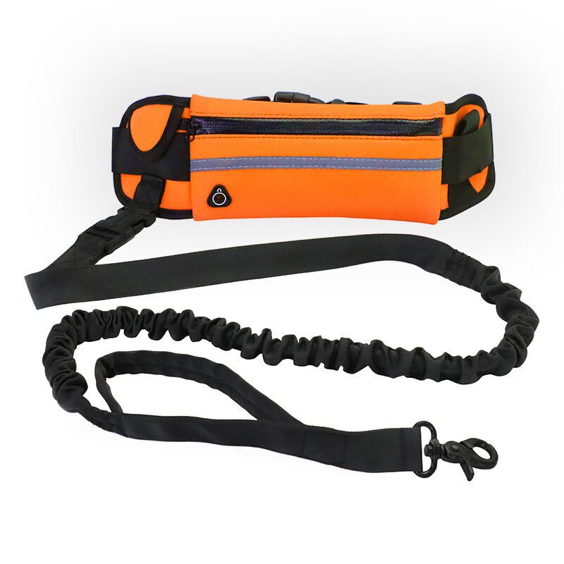 Sports outdoor running waist bag set pet leash dog leash walking dog leash set
