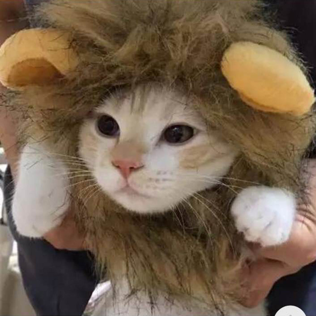 Lion headgear pet accessories puppy hair accessories cat wig accessories headband headdress helmet hat dog accessories