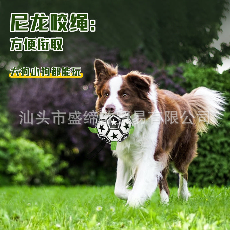 Cross-border Amazon pet dog football toy bite-resistant grinding teeth outdoor training dog walking ball boredom-relieving interactive toy
