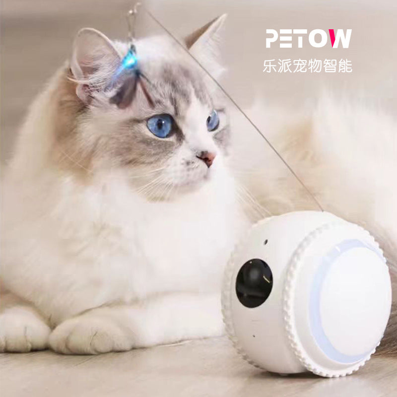 Mobile monitoring pet companion robot cat dog toys HD camera remote electric cat teaser toy stick