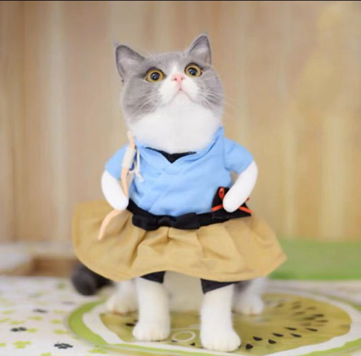 Douyin same dog clothes Teddy Bichon French bulldog funny clothes pet internet celebrity transformation clothes