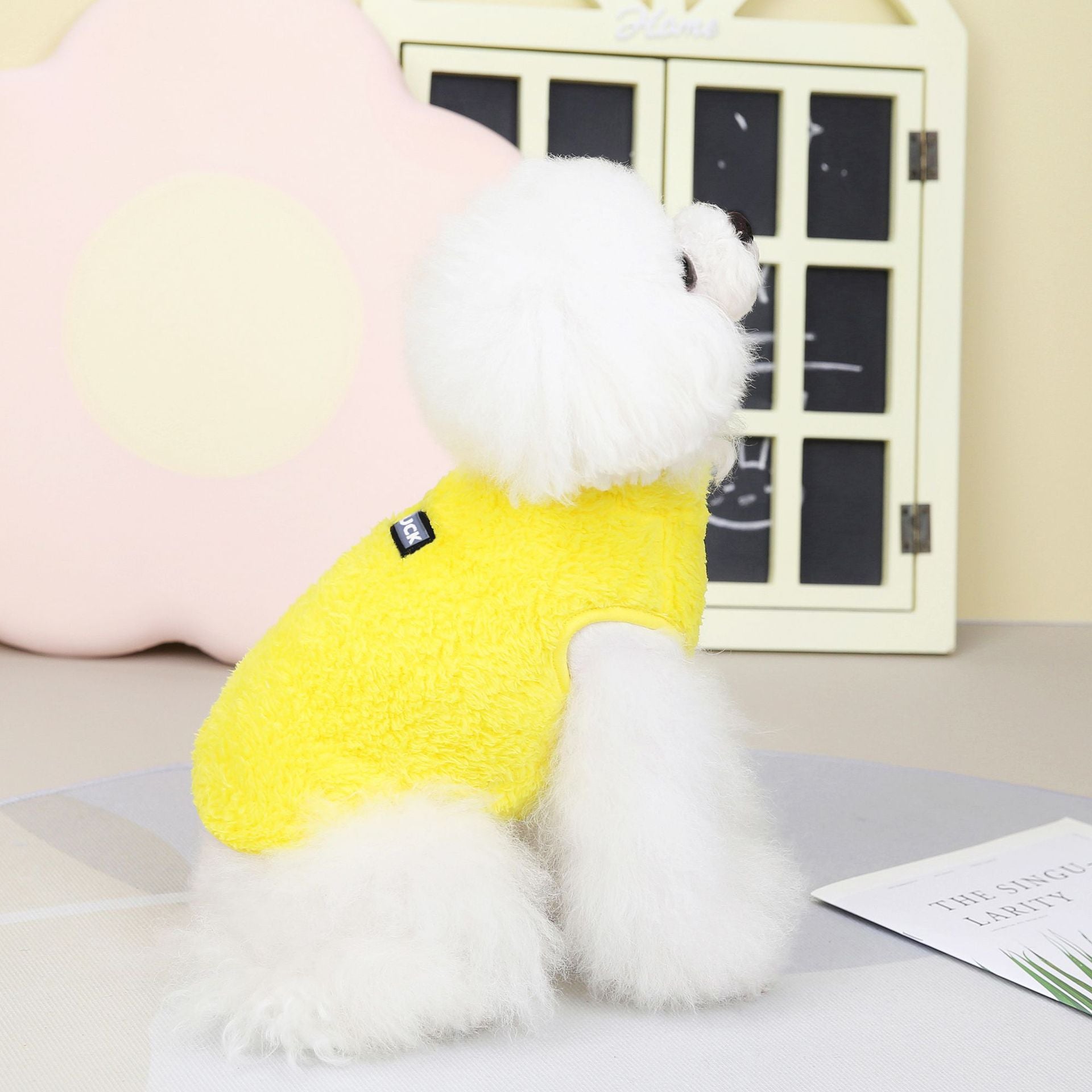 Pet clothes pet dog cat clothes pet two-leg fleece pajamas autumn and winter new 22 good luck fleece