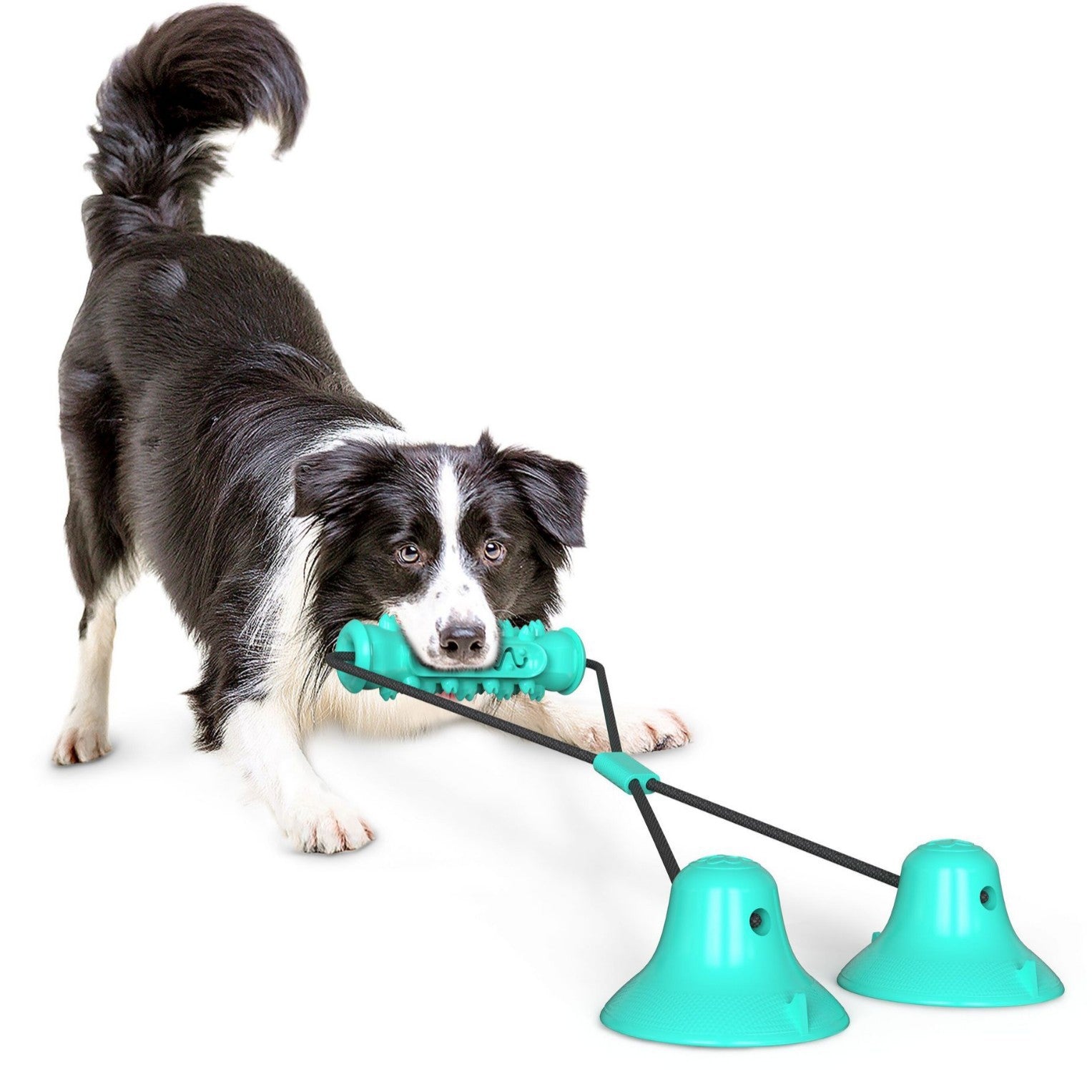 Pet Products Amazon Double Suction Cup Pull Rope Dog Toy Teeth Grinding Resistant Stick Dog Vent Toy PetMolar