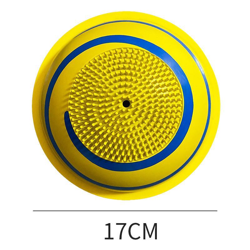 Cross-border dog toy teething resistant bite sound sliding disc pet cute pet anti-demolition home self-entertainment toy frisbee