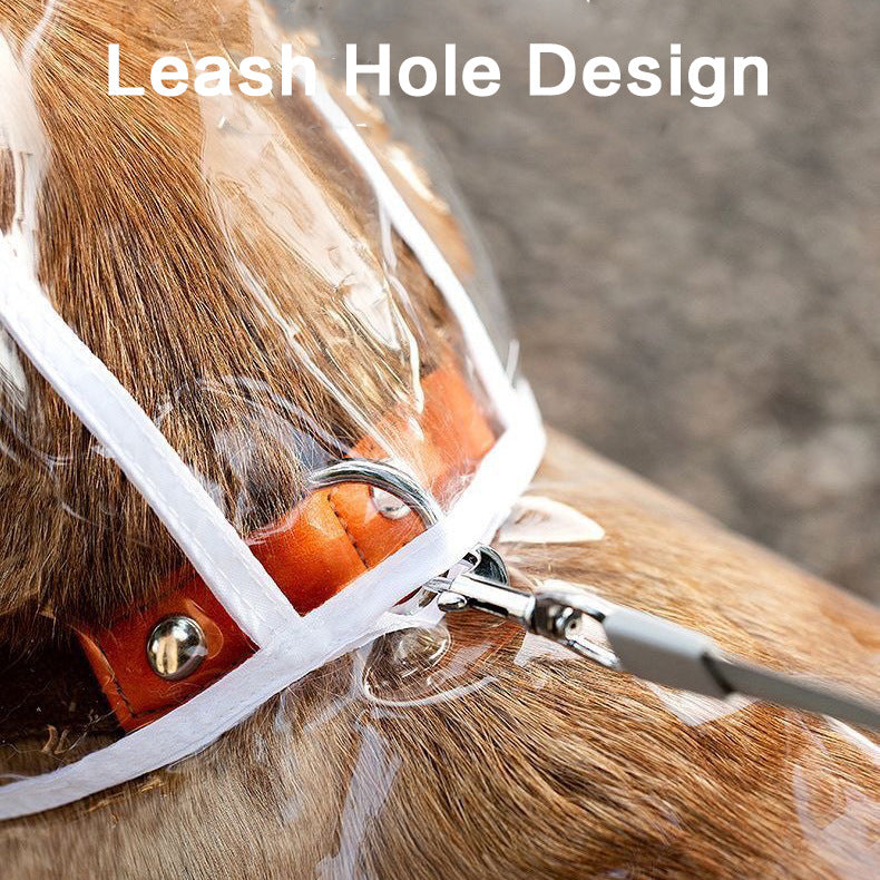 Pet raincoat transparent dog raincoat factory direct wholesale one piece waterproof windproof pet clothes large dog