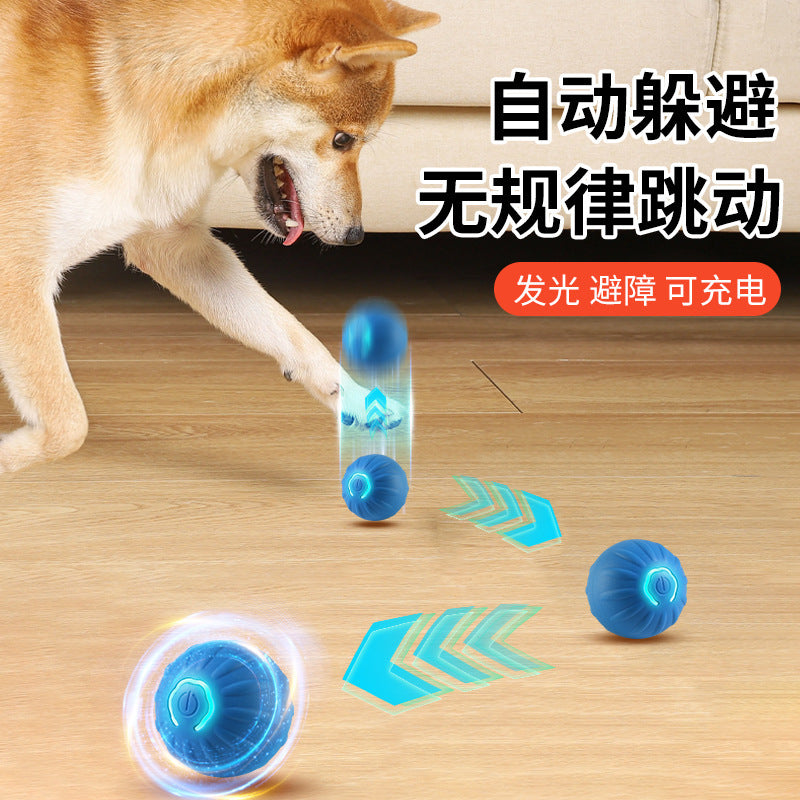 Manufacturers wholesale pet gravity jumping ball intelligent dog amusing artifact automatic dog walking ball self-entertainment dog toy