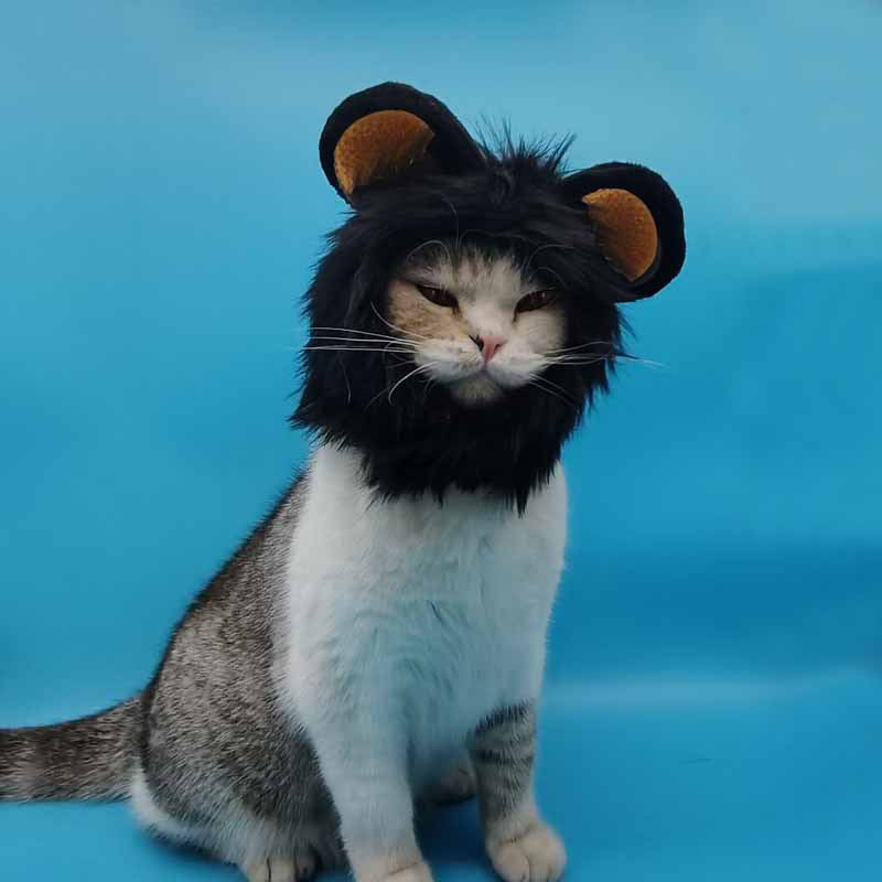 Halloween costumes for cats and dogs to be cute, universal adjustable Velcro autumn and winter lion transformed pet hat