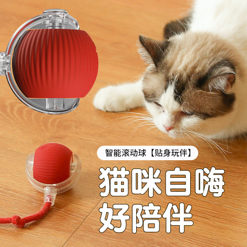 Cross-border bite-resistant automatic cat ball cat toy ball self-entertainment artifact with rope pet supplies jumping ball