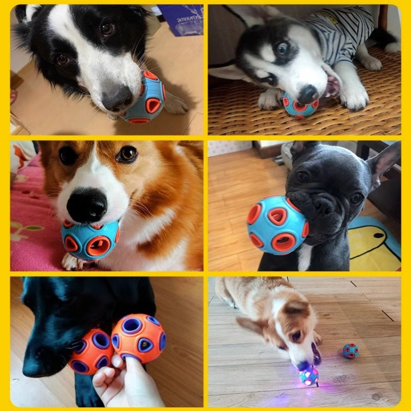 New anemone ball pet toy bell sound / luminous ball cat and dog toy bite resistant teeth interactive training