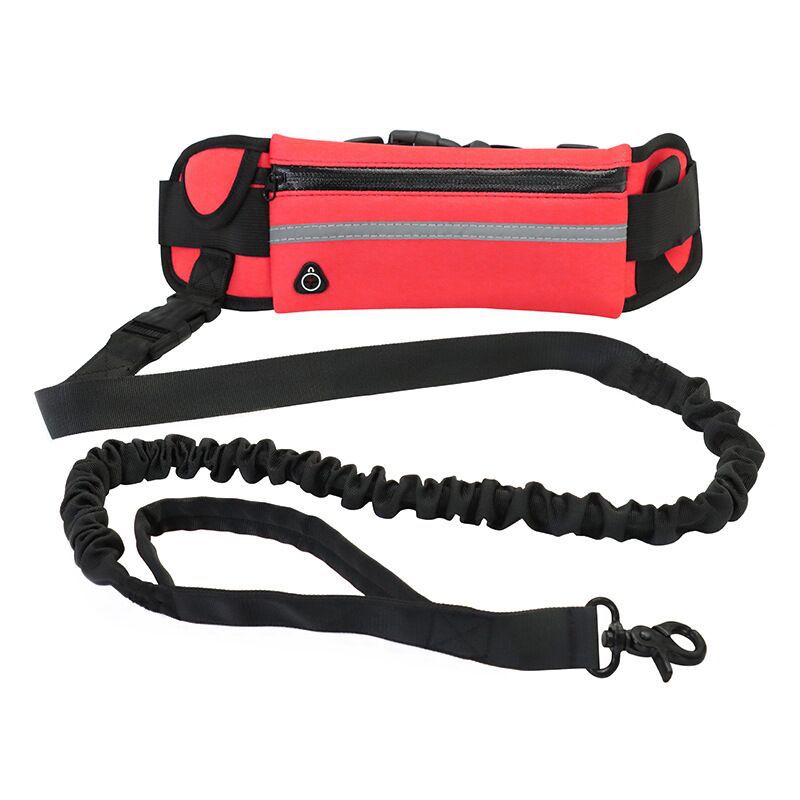 Sports outdoor running waist bag set pet leash dog leash walking dog leash set