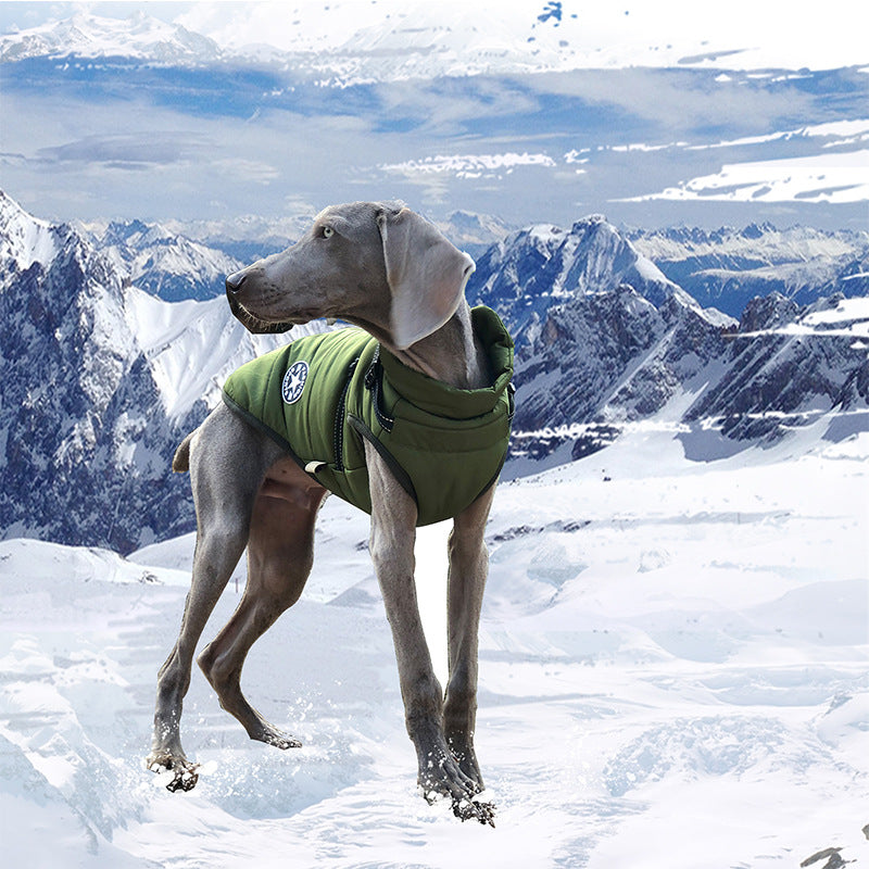 Dog clothes for medium and small dogs vest-style traction rope dog leash Teddy dog chain dog walking rope pet chest harness