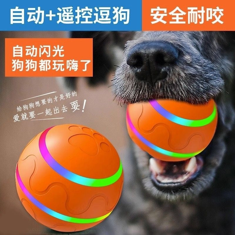Gravitational jumping ball pet dog toy ball automatic dog amusing ball bite-resistant ball dog amusing artifact self-entertainment ball