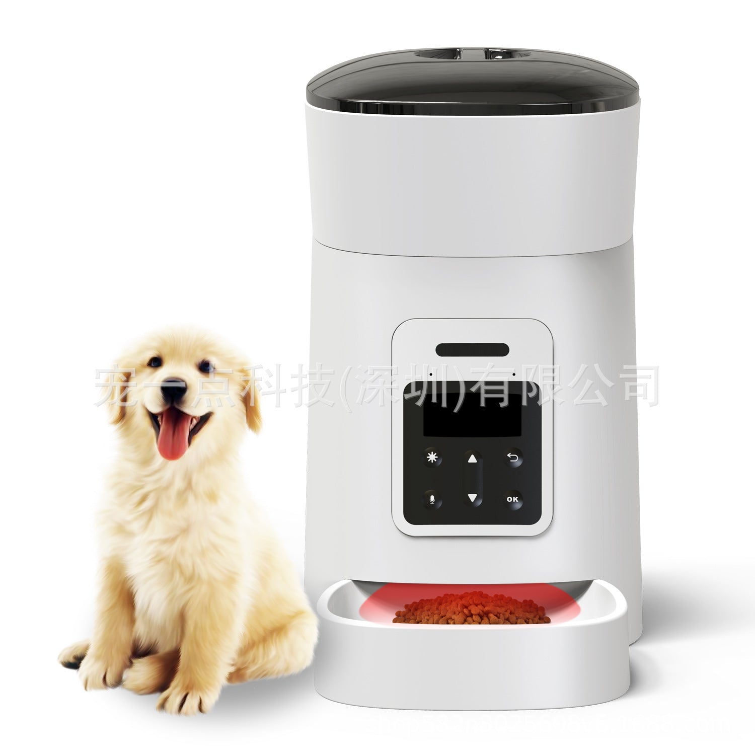 Pet Feeder Automatic Feeder Timing Quantitative 4L Capacity Button Basic Model Remaining Grain Alarm