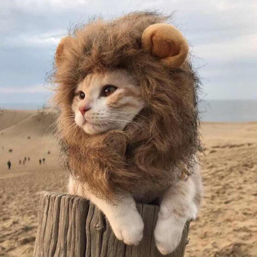 Lion headgear pet accessories puppy hair accessories cat wig accessories headband headdress helmet hat dog accessories