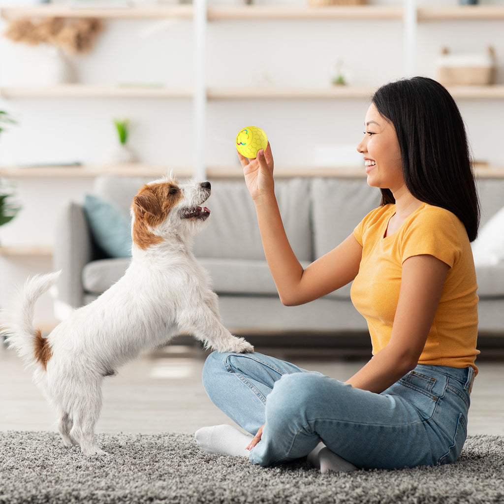 Cross-border hot-selling bite-resistant silicone pet gravity smart rolling ball to amuse cats and dogs to relieve boredom toy ball electric jumping ball