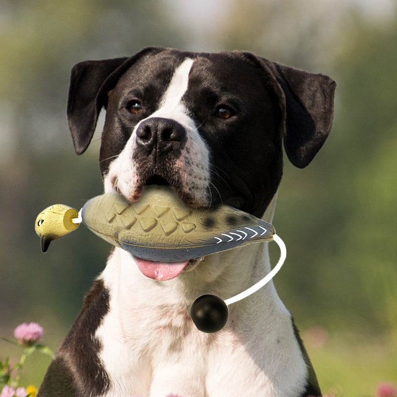 Spot private mold supply EVA injection PU foam pet dog training toy simulation duck fake duck training bite resistance