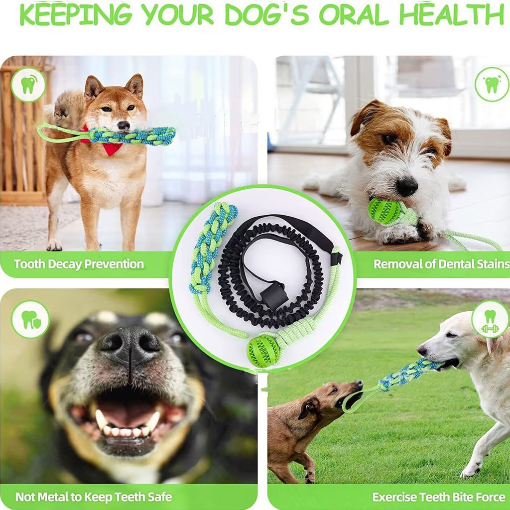 Cross-border hot selling pet dog tug of war rope indoor and outdoor door tree chew rope toy teeth cleaning teeth pull rope ball