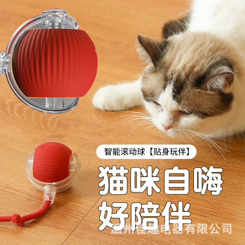 Cross-border bite-resistant automatic cat ball cat toy ball self-entertainment artifact with rope pet supplies jumping ball