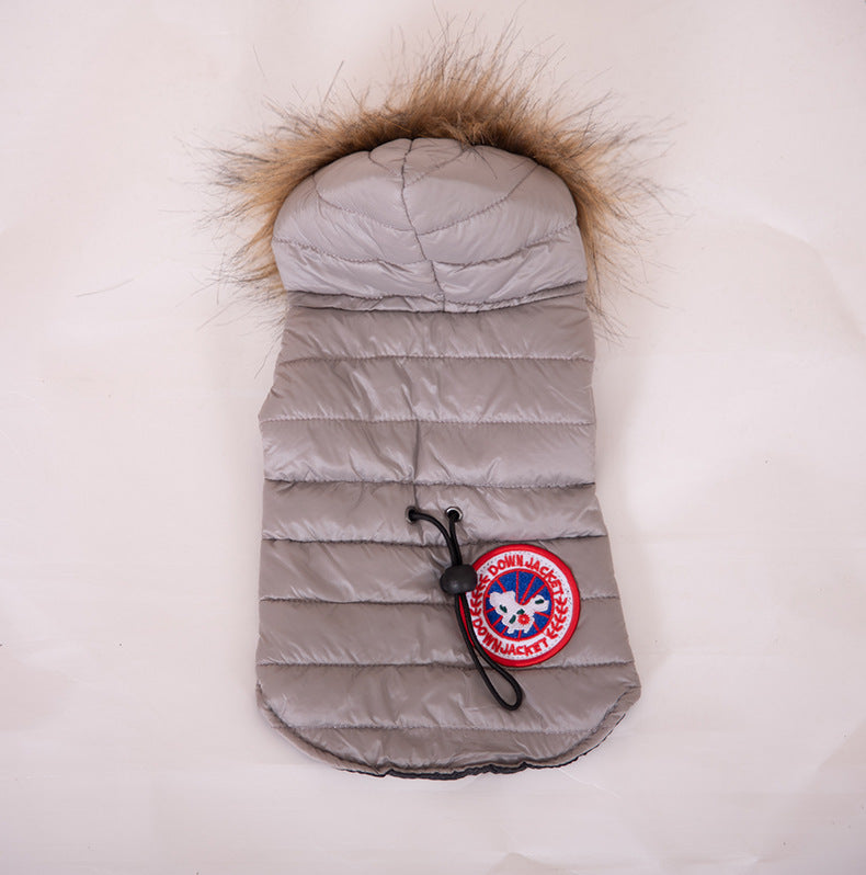 Pet clothes Dog clothes Fashion hooded jacket Autumn and winter warm dog clothes Teddy small and medium dogs