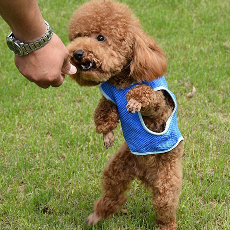 Pet Cooling Clothes Dog Summer Cooling Vest Summer Cooling Breathable Ice Silk Cool Clothes Supplies