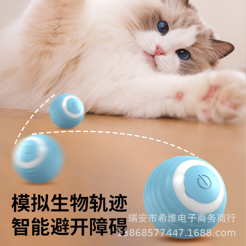 Funny Cat Ball Electric Bite-Resistant Self-Happiness Relief Toy Cross-border Pet Cat Track Wenzhou Gravity Smart Rolling Ball