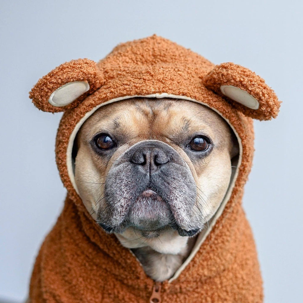 French Doll pet trendy brand ins hot style dog plus velvet warm standing ear sweatshirt autumn and winter sports dog clothes