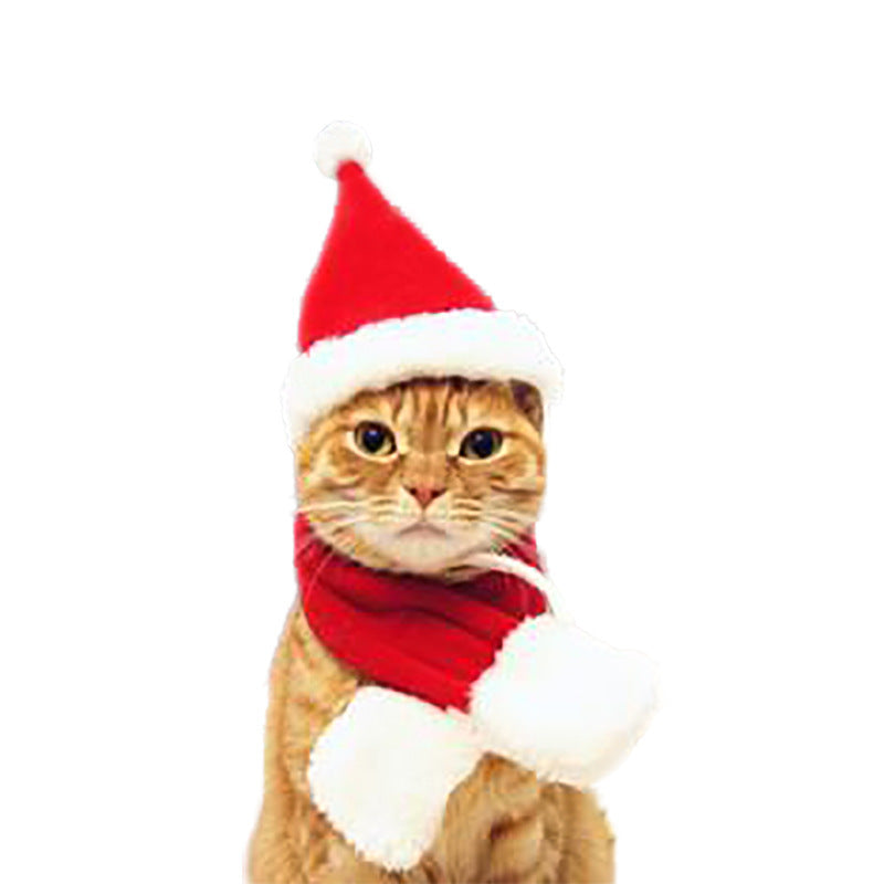Amazon Pet Christmas Cape Hat Holiday Suit Dog Transformation Costume Christmas Dress Up Pet Clothes