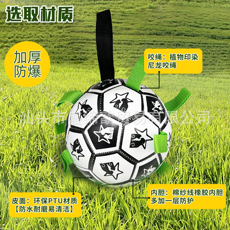 Cross-border Amazon pet dog football toy bite-resistant grinding teeth outdoor training dog walking ball boredom-relieving interactive toy
