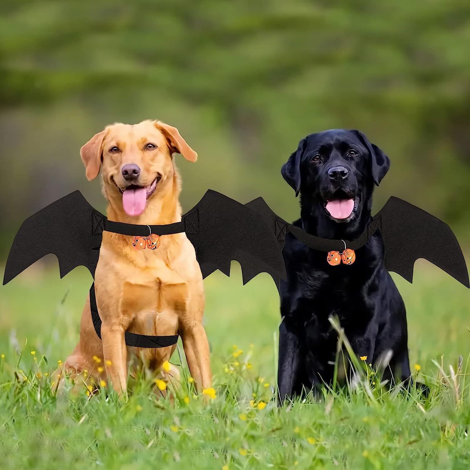 Halloween bat wings pet decorations clothes creative cat and dog small dog costumes felt Halloween wings