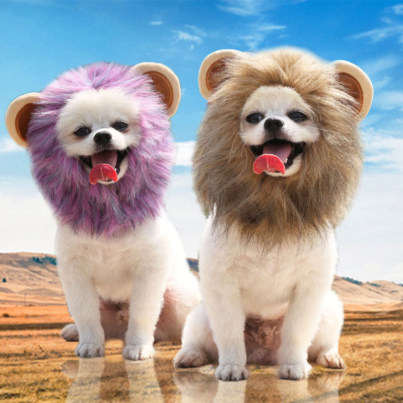 Halloween lion transformed ghost festival pet dog cat hat adjustable dog supplies cat clothes autumn and winter clothing