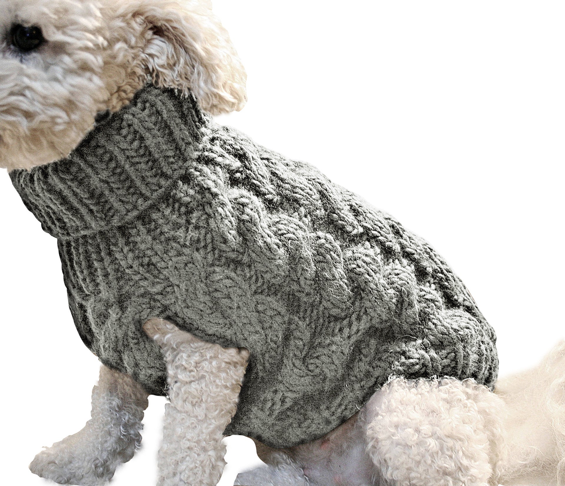 Dog cute pet sweater fashionable autumn and winter new pet clothes solid color twisted knitted warm clothing comfortable