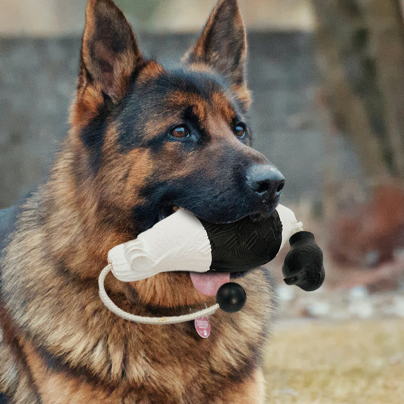 Spot private mold supply EVA injection PU foam pet dog training toy simulation duck fake duck training bite resistance