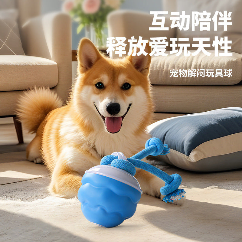 Electric pet toy ball rolling ball rechargeable dog toy bite-resistant interactive dog ball teething