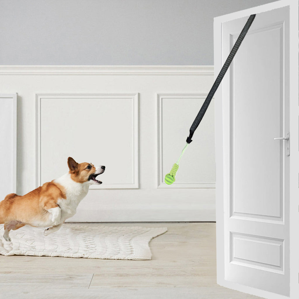 Dog set toy factory wholesale cross-border hot-selling pet supplies high rebound interactive corn cob teething ball