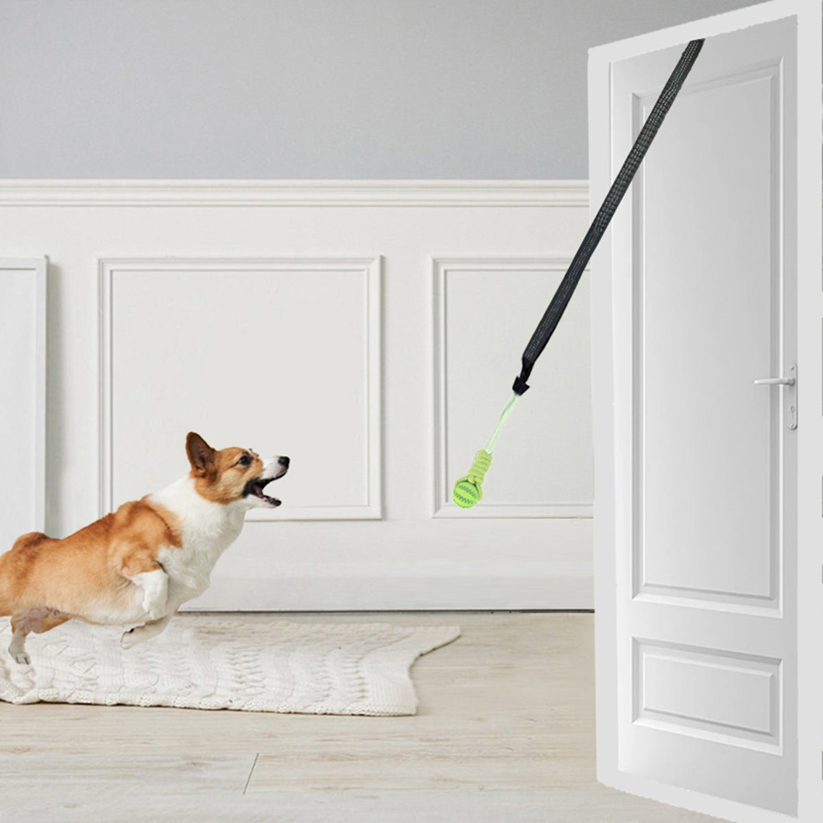 Dog set toy factory wholesale cross-border hot-selling pet supplies high rebound interactive corn cob teething ball